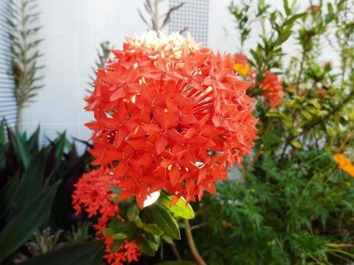 Casa Ohvidaboa Com 6 Suites นาตาล ภายนอก รูปภาพ